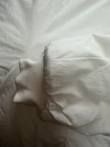 Yeezy Jacket JC-08 Close Up