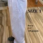 Yeezy YZY SP-08 Sweatpants Size 1 On-body side view