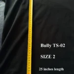 Yeezy Bully T-Shirt TS-02 Size 2 Length