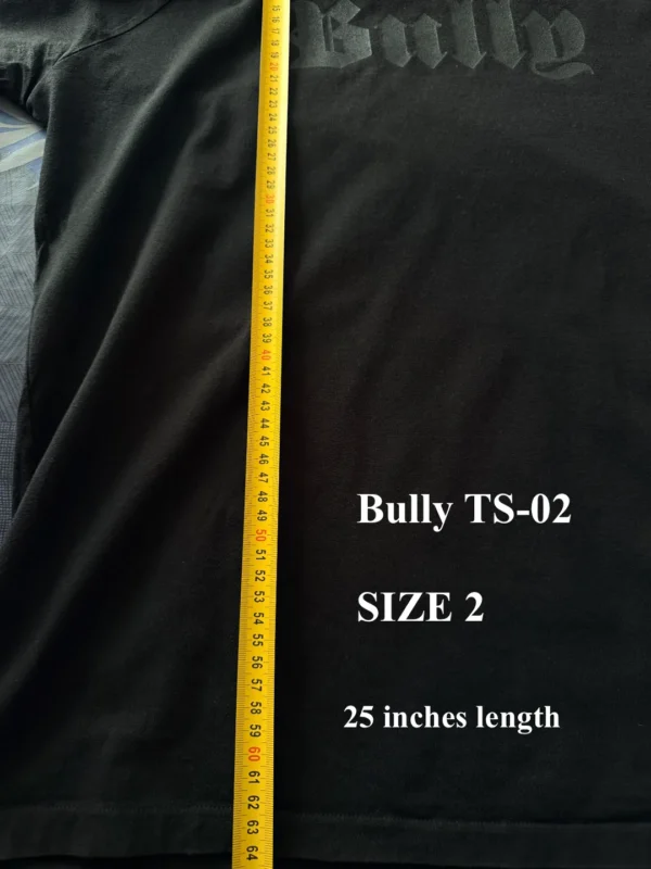 Yeezy Bully T-Shirt TS-02 Size 2 Length