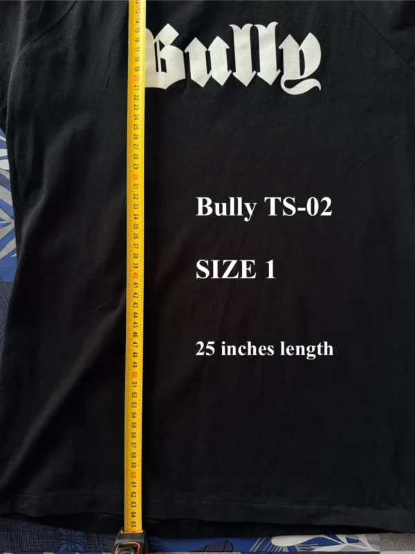 Yeezy Bully T-Shirt TS-02 Size 1 Length